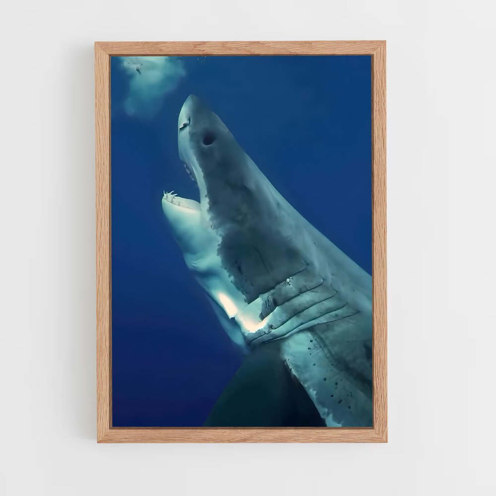 Poster Great white – affiche Plongée sous-marine (vue 4)